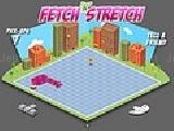 Play Fetch  n stretch