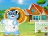 Play Cuddly teddy bear dress up