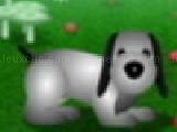 Play Dog and mushrooms