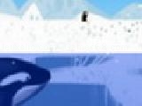 Play Pengu in trouble