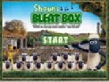 Play Shaun's bleat box