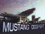 Play Mustang dogfight