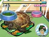 Play Turtle care