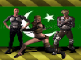 Play Elite forces:pakistan