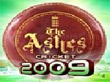 Play The ashes cricket 2009