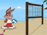 Play Beach volleyball