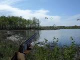 Play Duck shooter