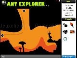 Play The ant explorer