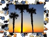 Play Jigsaw: florida sunrise