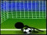 Play Penalty master