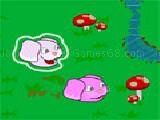 Play Run bunnies