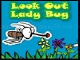 Play look out lady bug