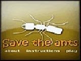 Play save the ants