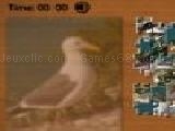Play puzzle mania - seagull