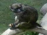 Play monkey on a log jigsaw puzzle