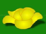 Play lucky cabbage