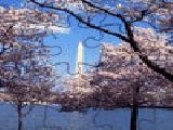 Play blooming cherry trees jigsaw