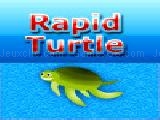 Play rapid turtle