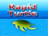 Play rapid turtle