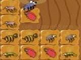 Play froggy feast: trapped in sap!