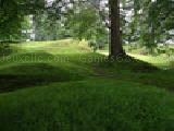 Play jigsaw: grassy path