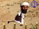 Play Osama in fuga