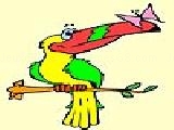 Play Parrot and butterfly coloring