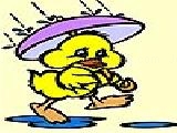 Play Bird walks in the rain coloring