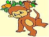 Play Cute monkey coloring