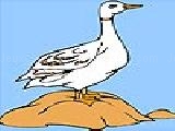 Play Lonely duck coloring