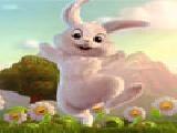 Play Rabbit puzzle game
