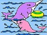 Play Two cute dolphins coloring