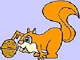 Play Squirrel and walnuts coloring
