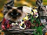 Play Cat among the flowers puzzle