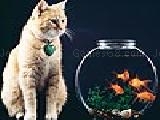 Play Domestic cat and fishes puzzle