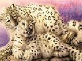 Play Two leopard puzzle