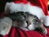 Play Christmas cat sliding