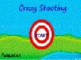Play Crazy shooting