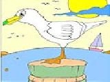 Play Cute seagull coloring