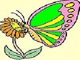 Play Little butterfly coloring