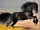 Play Black horse puzzle
