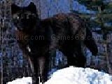 Play Black wolf puzzle