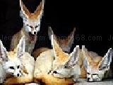 Play Baby foxes puzzle