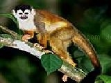 Play Saucy monkey puzzle
