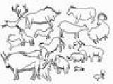 Play Prehistory -2
