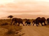 Play Jigsaw: elephants