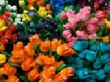 Play Jigsaw: amsterdam tulips