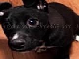 Play Pretty puppies puzzles