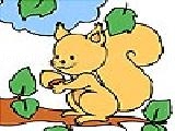 Play Branch squirrel coloring