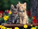 Play Puzzle cats - 1